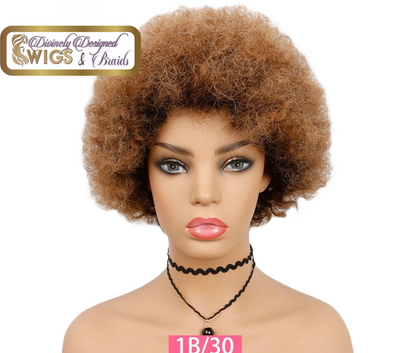 Carmela 1b/33 Afro Style, 100% Human Hair (NoLace)